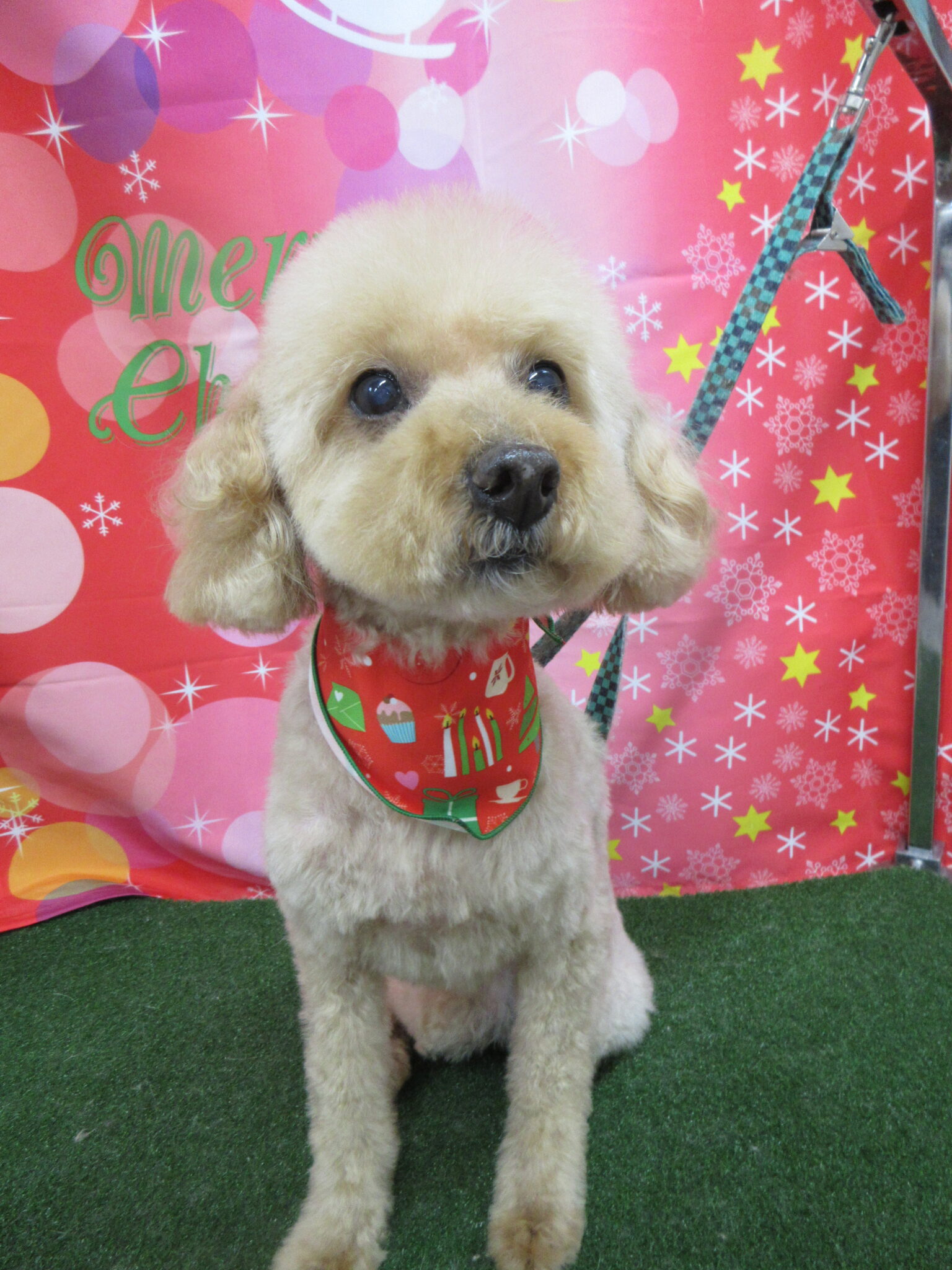 リオネル·メッシ™ on : 